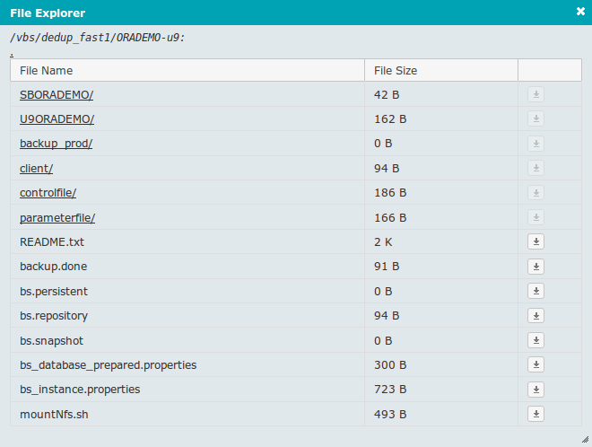 bks file explorer